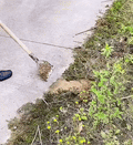 Agricultural Shovel Weeding Tool | Outdoor Special Gardening Tool - hookupcart - Agricultural Shovel Weeding Tool | Outdoor Special Gardening Tool -  -  - #tag4# - #tag3# - Agricultural Shovel Weeding Tool | Outdoor Special Gardening Tool - hookupcart