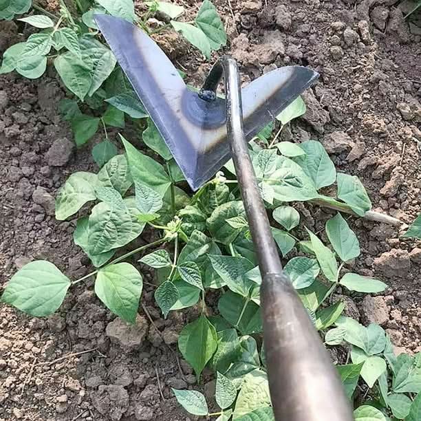 Agriculture Unique Swallowtail Hoe | Multifunctional Hoe For Farming and Gardening - hookupcart - Agriculture Unique Swallowtail Hoe | Multifunctional Hoe For Farming and Gardening -  - hookupcart - #tag4# - #tag3# - Agriculture Unique Swallowtail Hoe | Multifunctional Hoe For Farming and Gardening - hookupcart