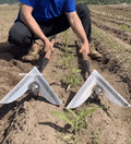 Agriculture Unique Swallowtail Hoe | Multifunctional Hoe For Farming and Gardening - hookupcart - Agriculture Unique Swallowtail Hoe | Multifunctional Hoe For Farming and Gardening -  -  - #tag4# - #tag3# - Agriculture Unique Swallowtail Hoe | Multifunctional Hoe For Farming and Gardening - hookupcart