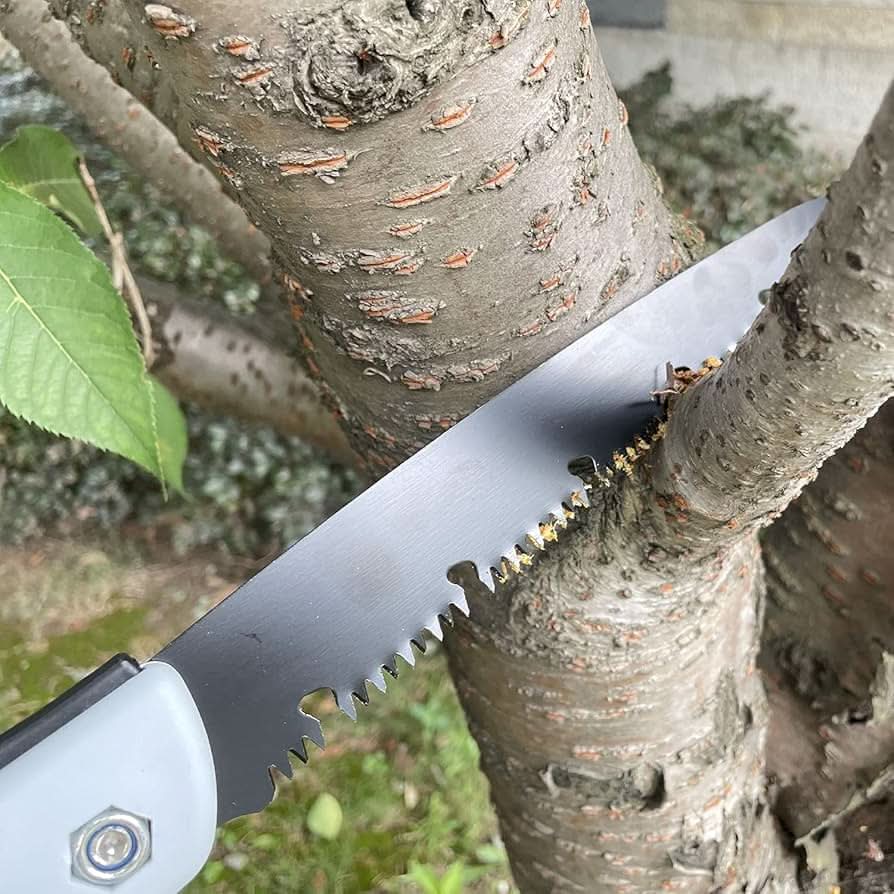 Carbon Steel Folding Saw | Hand Saw with Secure Lock - hookupcart - Carbon Steel Folding Saw | Hand Saw with Secure Lock -  -  - #tag4# - #tag3# - Carbon Steel Folding Saw | Hand Saw with Secure Lock - hookupcart