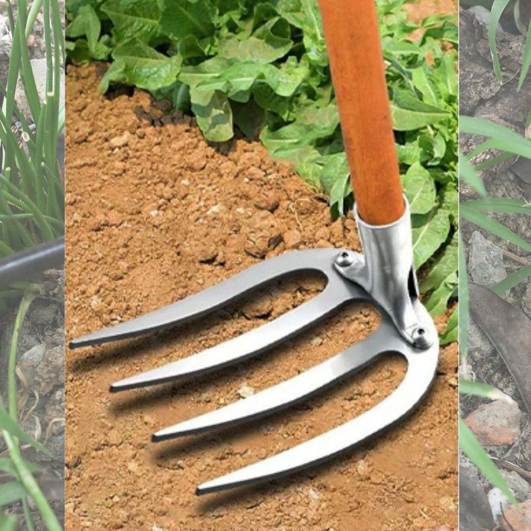 Heavy-Duty 4-Tooth Manganese Steel Soil Rake | Gardening and Farming Rake - hookupcart - Heavy-Duty 4-Tooth Manganese Steel Soil Rake | Gardening and Farming Rake -  -  - #tag4# - #tag3# - Heavy-Duty 4-Tooth Manganese Steel Soil Rake | Gardening and Farming Rake - hookupcart - Heavy-Duty 4-Tooth Manganese Steel Soil Rake | Gardening and Farming Rake -  - hookupcart - #tag4# - #tag3# - Heavy-Duty 4-Tooth Manganese Steel Soil Rake | Gardening and Farming Rake - hookupcart