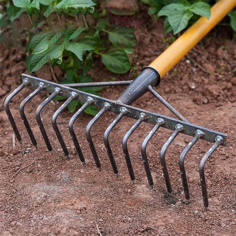 High Carbon Steel Nail Rake: Multifunctional Garden Tool - hookupcart - High Carbon Steel Nail Rake: Multifunctional Garden Tool -  -  - #tag4# - #tag3# - High Carbon Steel Nail Rake: Multifunctional Garden Tool - hookupcart - High Carbon Steel Nail Rake: Multifunctional Garden Tool -  -  - #tag4# - #tag3# - High Carbon Steel Nail Rake: Multifunctional Garden Tool - hookupcart