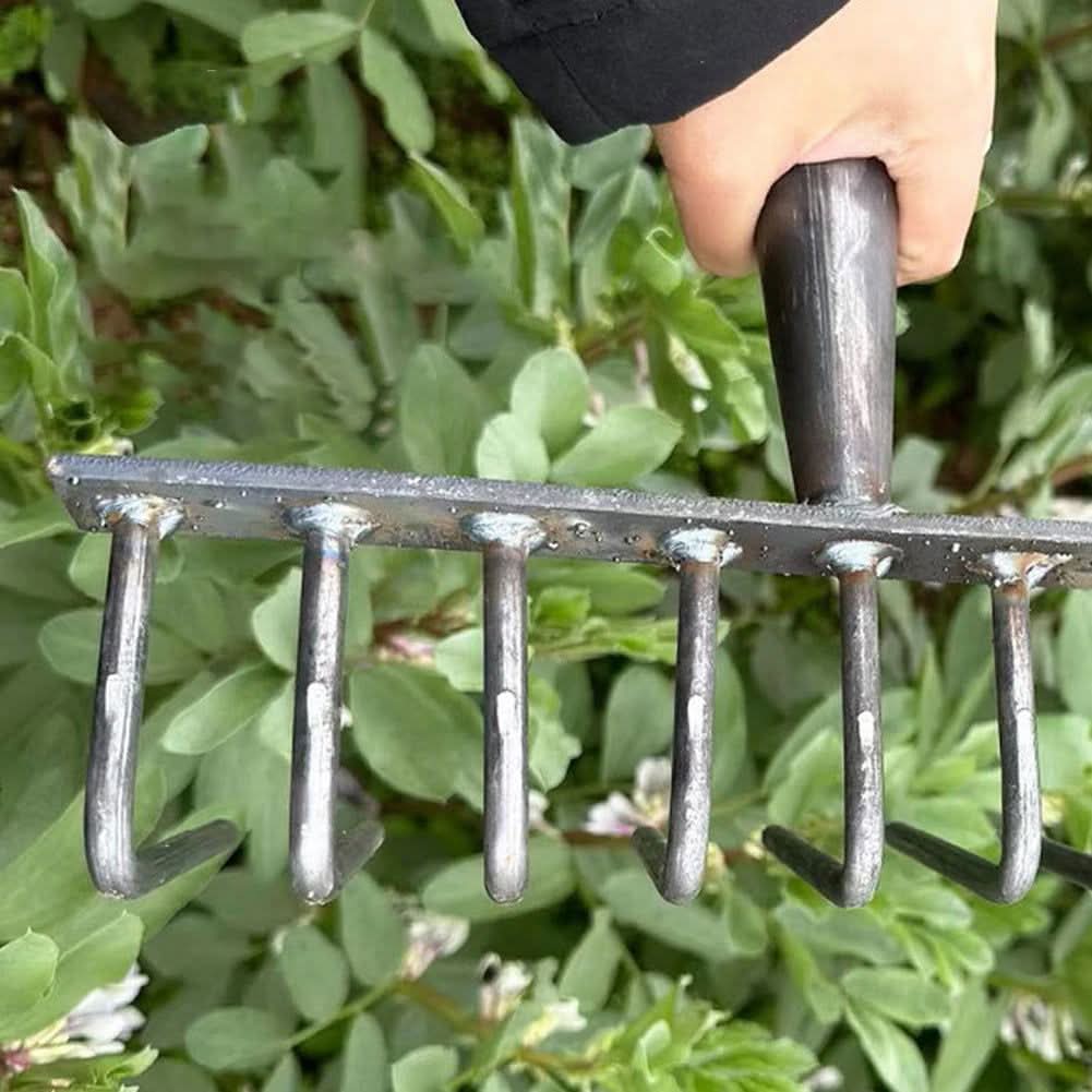 High Carbon Steel Nail Rake: Multifunctional Garden Tool - hookupcart - High Carbon Steel Nail Rake: Multifunctional Garden Tool -  -  - #tag4# - #tag3# - High Carbon Steel Nail Rake: Multifunctional Garden Tool - hookupcart - High Carbon Steel Nail Rake: Multifunctional Garden Tool -  -  - #tag4# - #tag3# - High Carbon Steel Nail Rake: Multifunctional Garden Tool - hookupcart