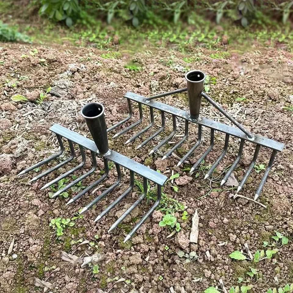 High Carbon Steel Nail Rake: Multifunctional Garden Tool - hookupcart - High Carbon Steel Nail Rake: Multifunctional Garden Tool -  -  - #tag4# - #tag3# - High Carbon Steel Nail Rake: Multifunctional Garden Tool - hookupcart - High Carbon Steel Nail Rake: Multifunctional Garden Tool -  -  - #tag4# - #tag3# - High Carbon Steel Nail Rake: Multifunctional Garden Tool - hookupcart