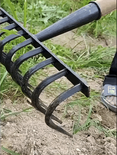 High Carbon Steel Nail Rake: Multifunctional Garden Tool - hookupcart - High Carbon Steel Nail Rake: Multifunctional Garden Tool -  -  - #tag4# - #tag3# - High Carbon Steel Nail Rake: Multifunctional Garden Tool - hookupcart - High Carbon Steel Nail Rake: Multifunctional Garden Tool -  -  - #tag4# - #tag3# - High Carbon Steel Nail Rake: Multifunctional Garden Tool - hookupcart