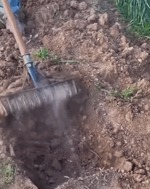 High Carbon Steel Nail Rake: Multifunctional Garden Tool - hookupcart - High Carbon Steel Nail Rake: Multifunctional Garden Tool -  -  - #tag4# - #tag3# - High Carbon Steel Nail Rake: Multifunctional Garden Tool - hookupcart - High Carbon Steel Nail Rake: Multifunctional Garden Tool -  -  - #tag4# - #tag3# - High Carbon Steel Nail Rake: Multifunctional Garden Tool - hookupcart