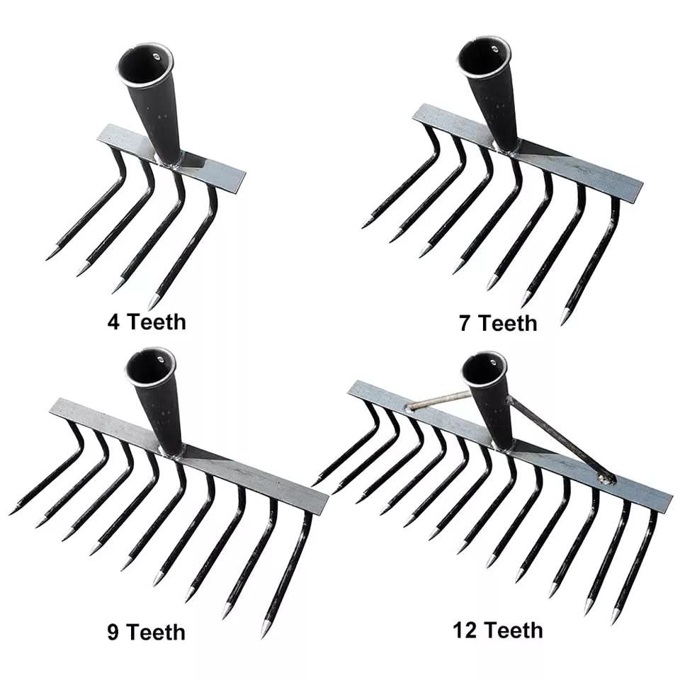 High Carbon Steel Nail Rake: Multifunctional Garden Tool - hookupcart - High Carbon Steel Nail Rake: Multifunctional Garden Tool -  -  - #tag4# - #tag3# - High Carbon Steel Nail Rake: Multifunctional Garden Tool - hookupcart - High Carbon Steel Nail Rake: Multifunctional Garden Tool -  -  - #tag4# - #tag3# - High Carbon Steel Nail Rake: Multifunctional Garden Tool - hookupcart