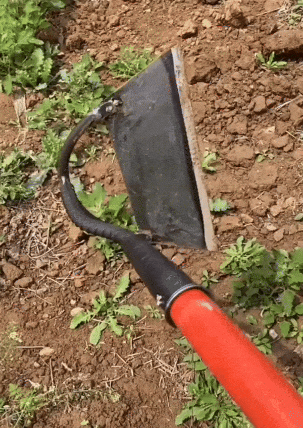 Manganese Steel Hollow Hoe Gardening and Farming Tool - hookupcart - Manganese Steel Hollow Hoe Gardening and Farming Tool -  -  - #tag4# - #tag3# - Manganese Steel Hollow Hoe Gardening and Farming Tool - hookupcart - Manganese Steel Hollow Hoe Gardening and Farming Tool -  - hookupcart - #tag4# - #tag3# - Manganese Steel Hollow Hoe Gardening and Farming Tool - hookupcart
