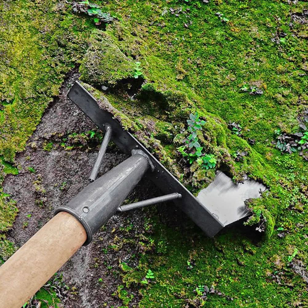 Multifunction Deep Cleaning shovel Feed - hookupcart - Multifunction Deep Cleaning shovel Feed -  -  - #tag4# - #tag3# - Multifunction Deep Cleaning shovel Feed - hookupcart - Multifunction Deep Cleaning shovel Feed -  -  - #tag4# - #tag3# - Multifunction Deep Cleaning shovel - hookupcart - Multifunction Deep Cleaning shovel -  -  - #tag4# - #tag3# - Multifunction Deep Cleaning shovel - hookupcart